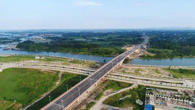 2023-2024年度十大桥梁人物候选人——张坤球(图5)