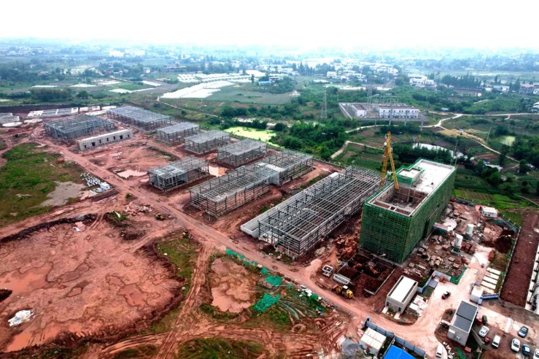 项目加速跑川渝聚动能岳池医药健康产业蓬勃发展(图3)