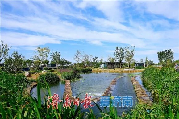 城市更新让老旧片区“活”起来！济南将打造世界级泉水文化街区(图2)