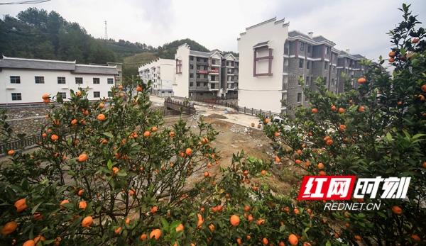 鼎力①湖南建投：放眼全球市场创一流企业(图5)