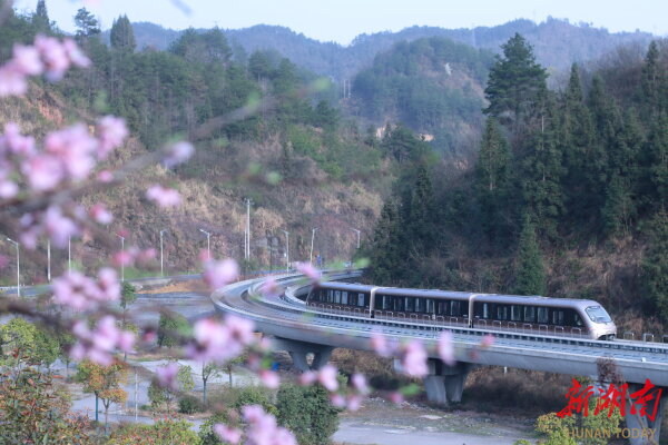 深度｜“馅饼”还是“陷阱？磁浮交通何处何从？(图2)