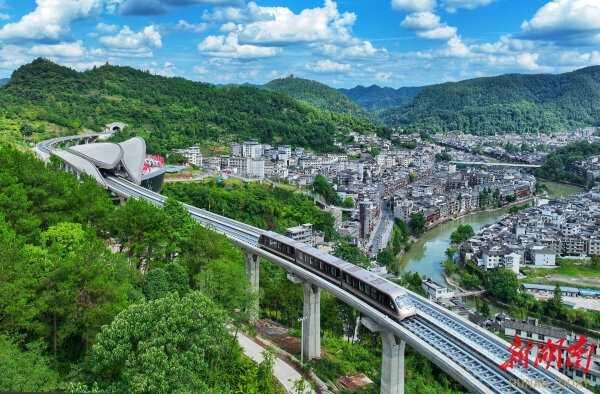 深度｜“馅饼”还是“陷阱？磁浮交通何处何从？(图8)