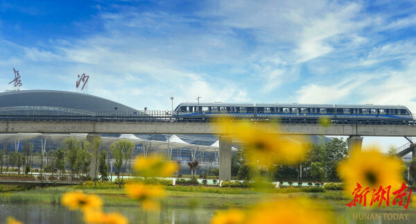 深度｜“馅饼”还是“陷阱？磁浮交通何处何从？(图7)