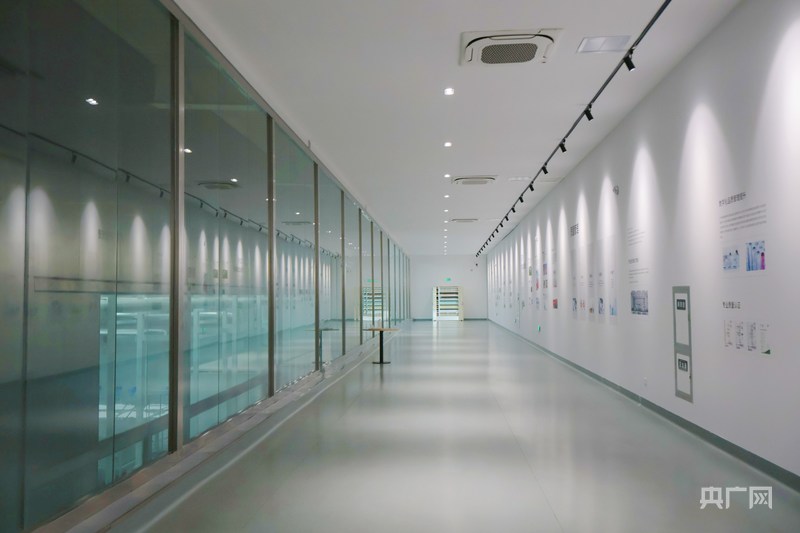 “青”听经济之声丨动能集聚添活力“西”引力澎湃升级(图4)