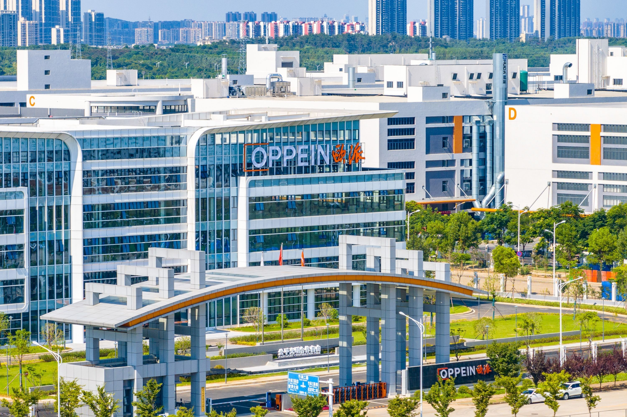 蔡甸：知音故里“蔡甸曲线”昂扬起飞