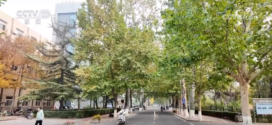 “智慧盖楼”让百姓幸福感原地“升级”老房焕新填充更多暖心“民生温度”(图3)